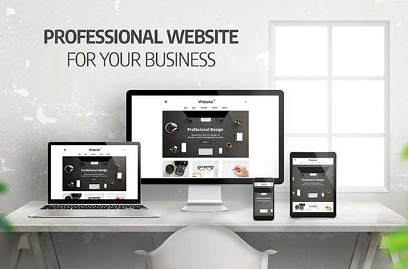 Importance of Creating a Professional Website For Your Business